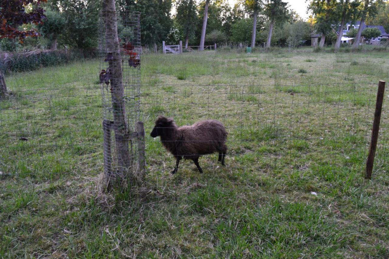 De Galerie - Landgoed Rijckholt Villa Geersdijk Luaran gambar